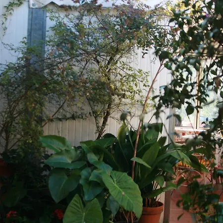 Albergo Villa Sorriso-3
